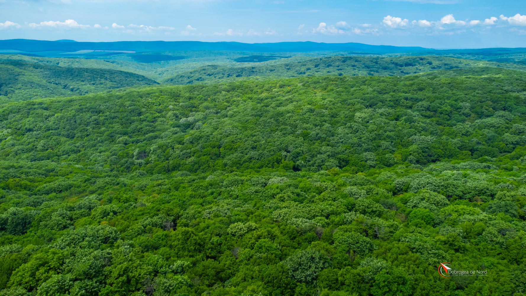 Comuna-Niculitel-0074