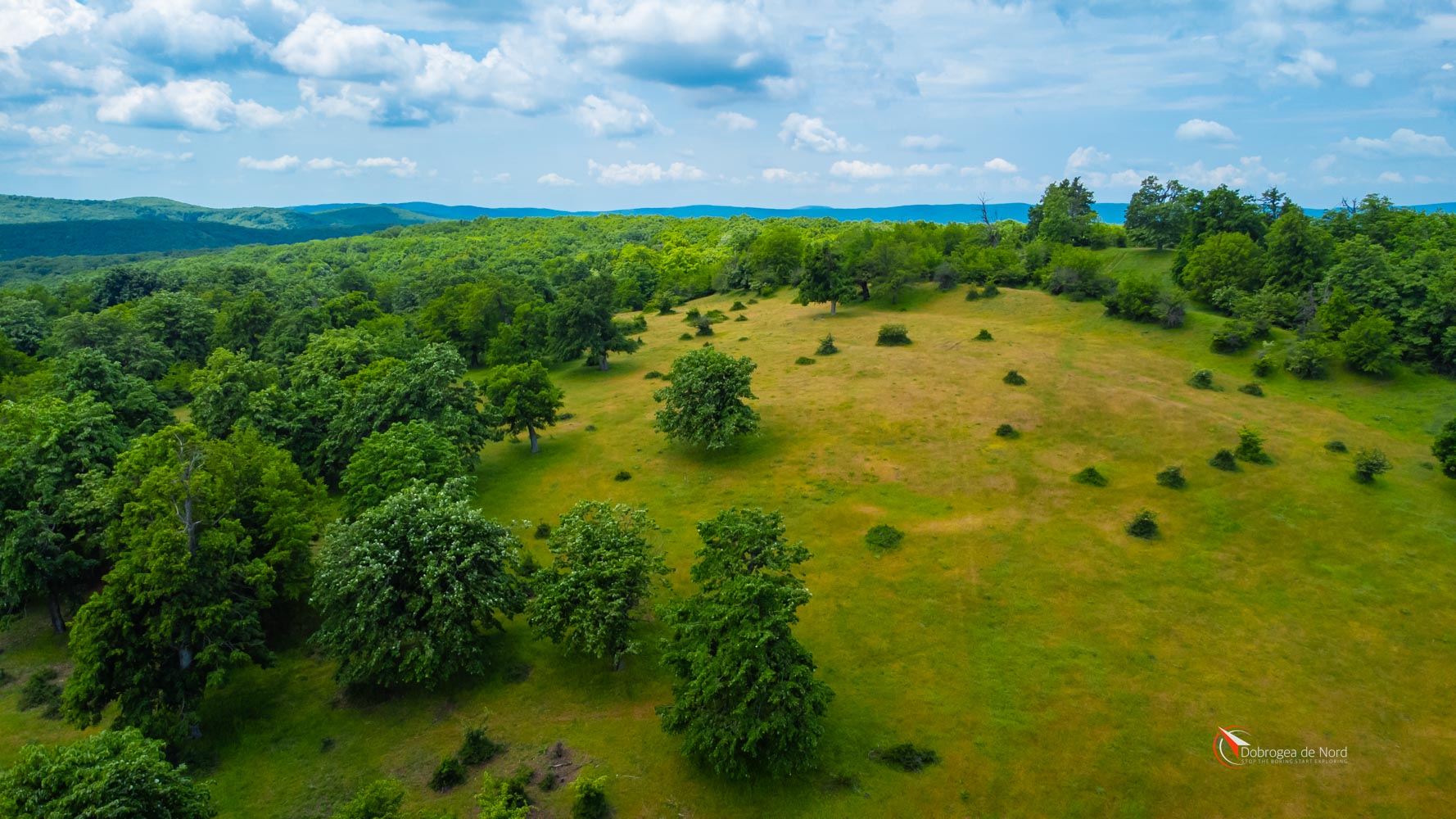 Comuna-Niculitel-0112